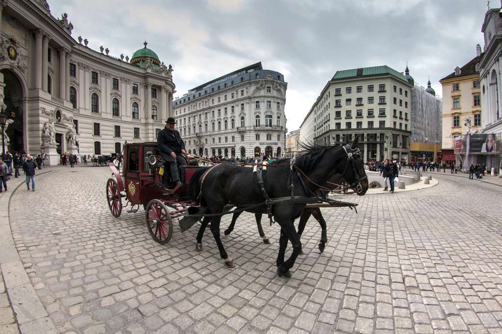Hotel Calmo Vienna Amenities foto